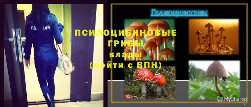 mega ссылки  Бугуруслан  Галлюциногенные грибы Magic Shrooms 